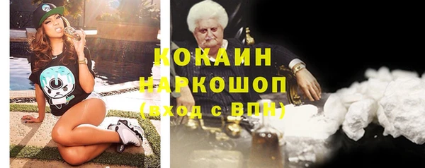 индика Нея