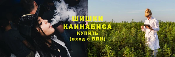 индика Нея