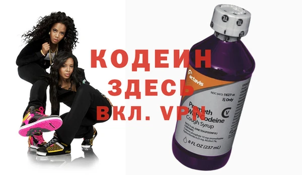 индика Нея