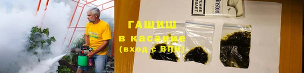 индика Нея